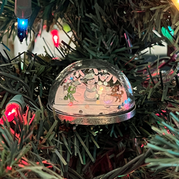 2024 3D Snow Globe Geocoin